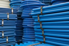 wortex-bis-20