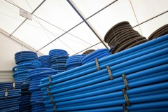 wortex-bis-25
